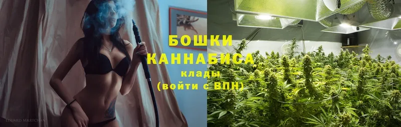 кракен сайт  Кирово-Чепецк  Бошки марихуана White Widow  хочу наркоту 